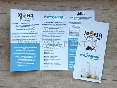 Евробуклеты на заказ